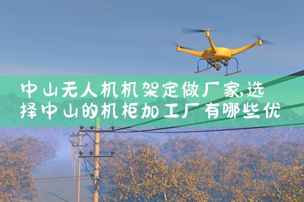 ɽ˻ܶ|˻UAV