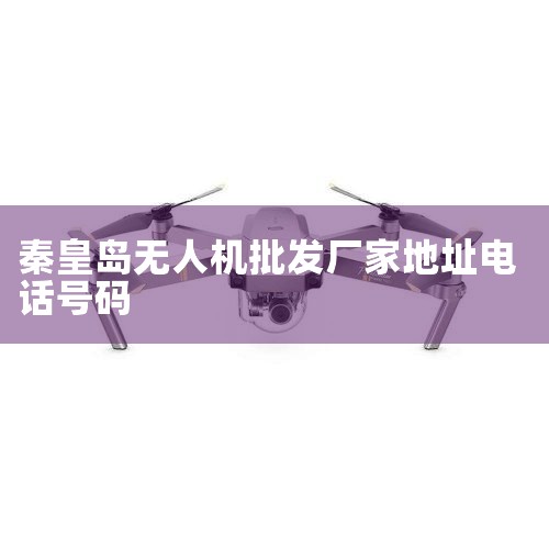 ...Բģ.ϵ...ײģ...|¹ALLWEILERͱά޳|03357806084ĵĵ绰?|ػʵάó޹|˻UAV